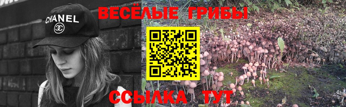 Галлюциногенные грибы GOLDEN TEACHER  Семилуки 